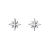Star Stud Earrings