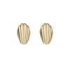 Shell Stud Earrings