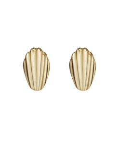 Shell Stud Earrings