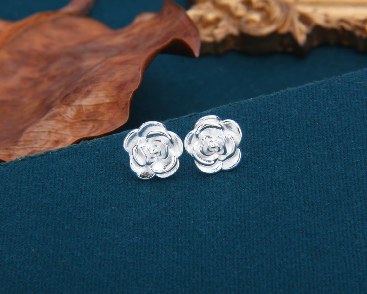 S925 Sterling Silver Earrings