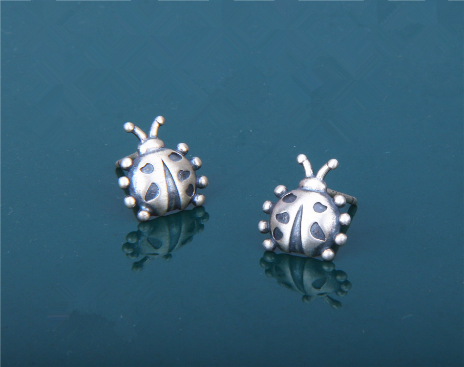 S925 Sterling Silver Earrings