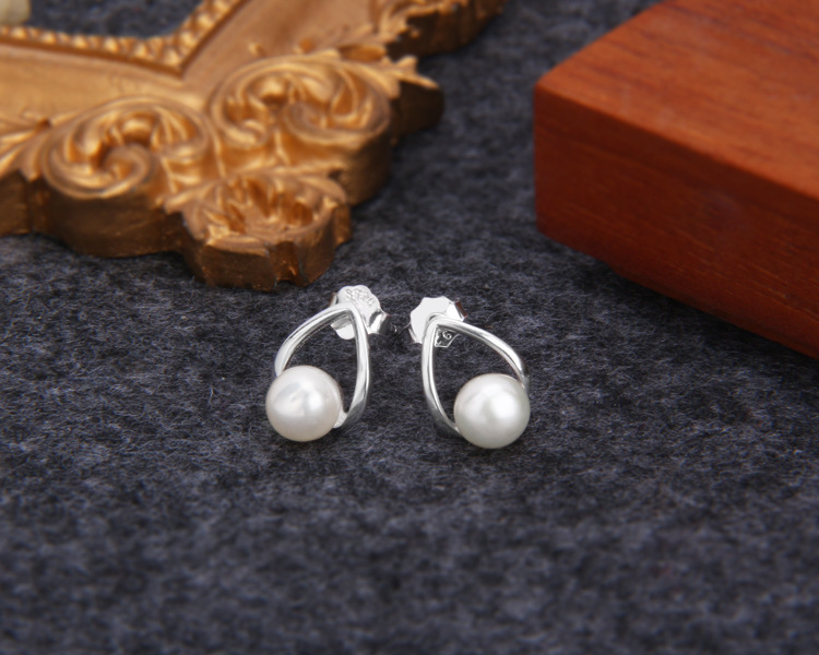 S925 Sterling Silver Earrings