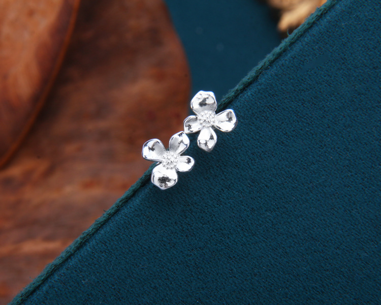 S925 Sterling Silver Earrings