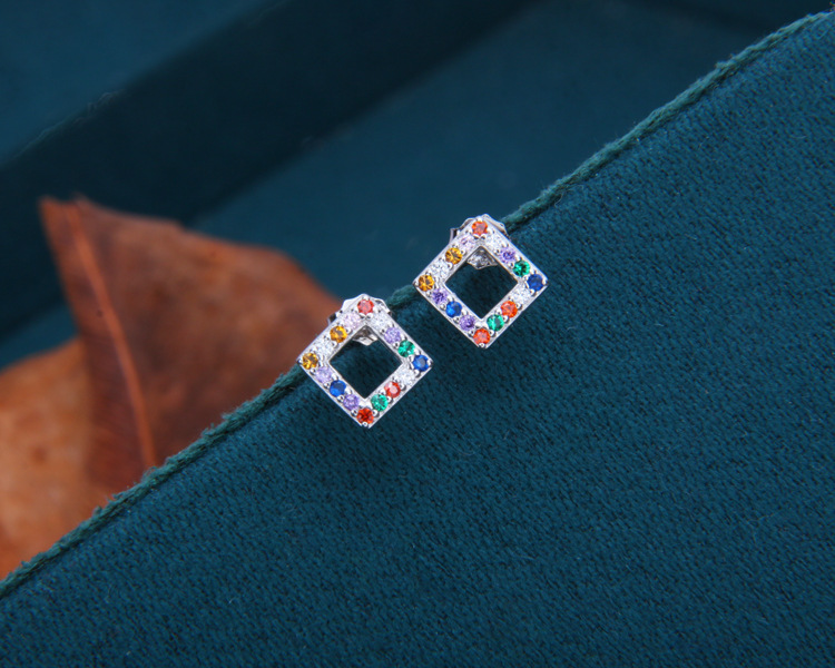 S925 Sterling Silver Earrings