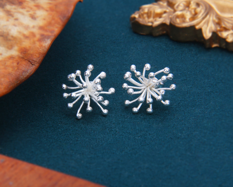 S925 Sterling Silver Earrings