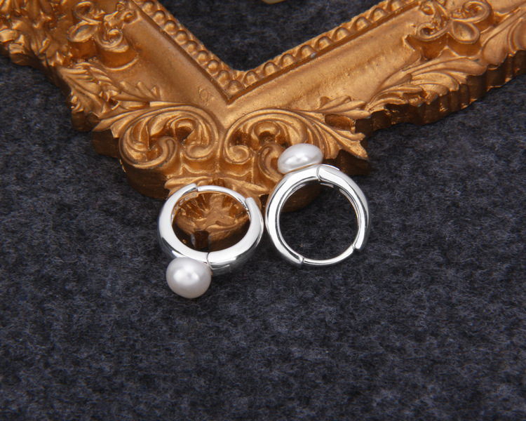 S925 Sterling Silver Earrings