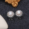 S925 Sterling Silver Earrings