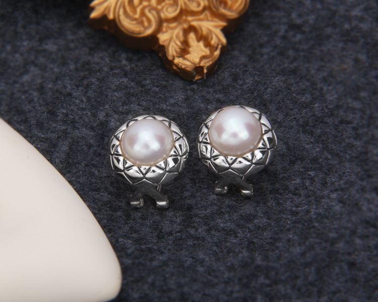 S925 Sterling Silver Earrings