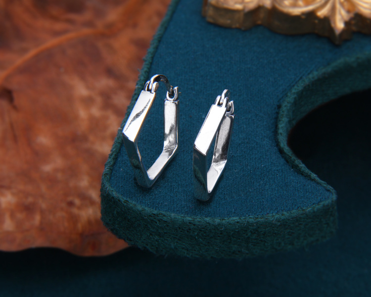 S925 Sterling Silver Earrings