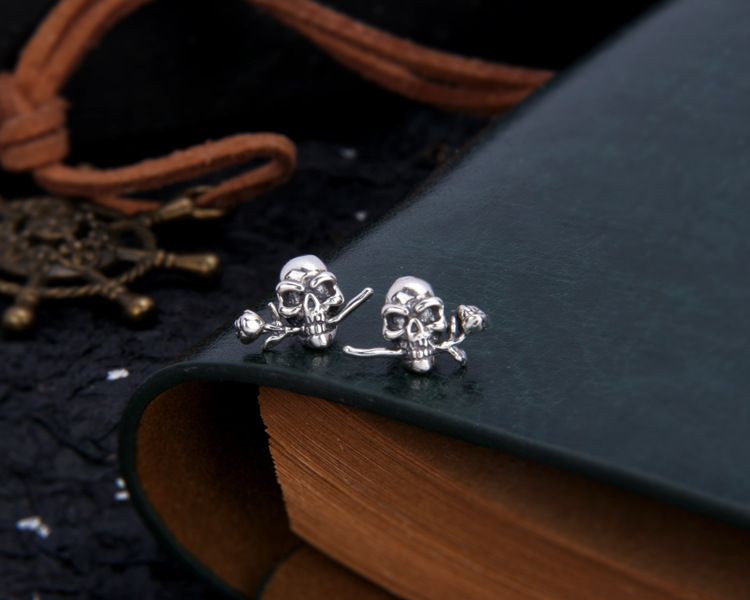 S925 Sterling Silver Earrings