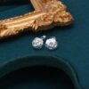S925 Sterling Silver Earrings
