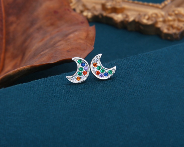 S925 Sterling Silver Earrings