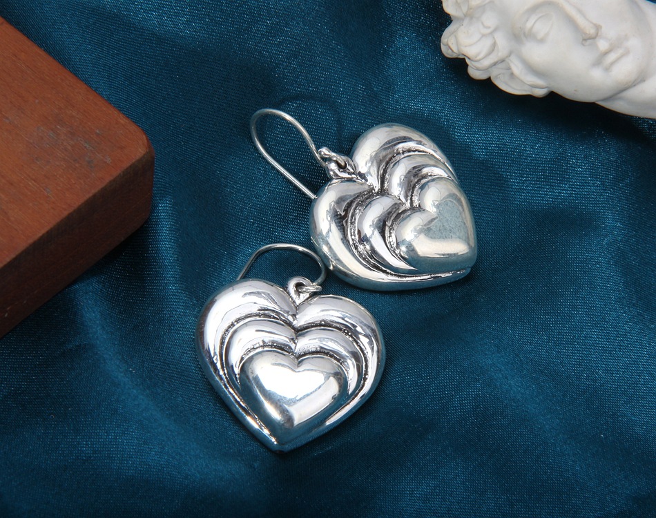 S925 Sterling Silver Earrings