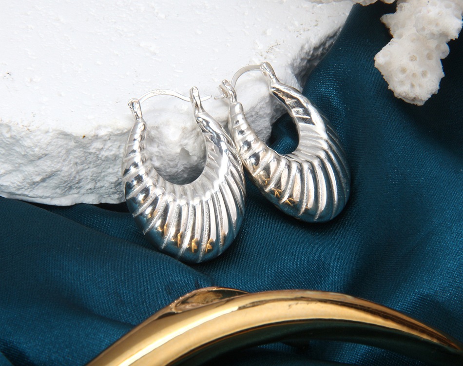 S925 Sterling Silver Earrings