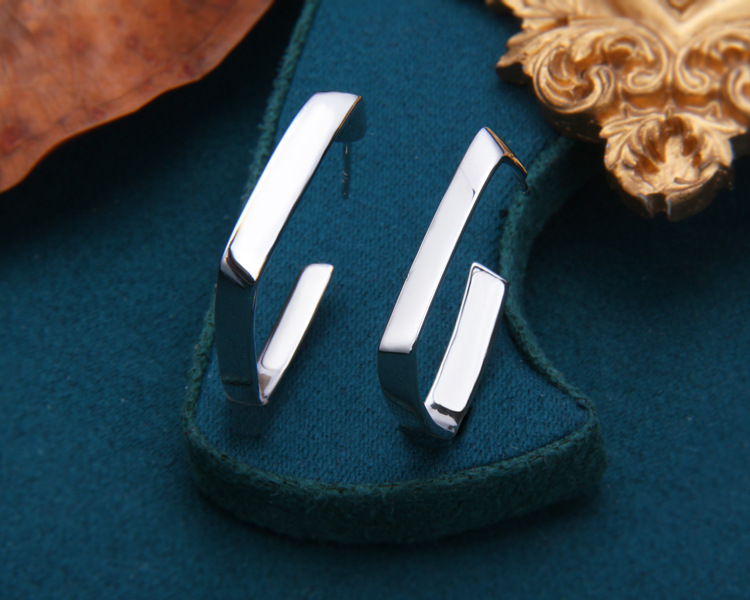 S925 Sterling Silver Earrings