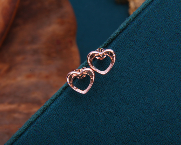 S925 Sterling Silver Earrings