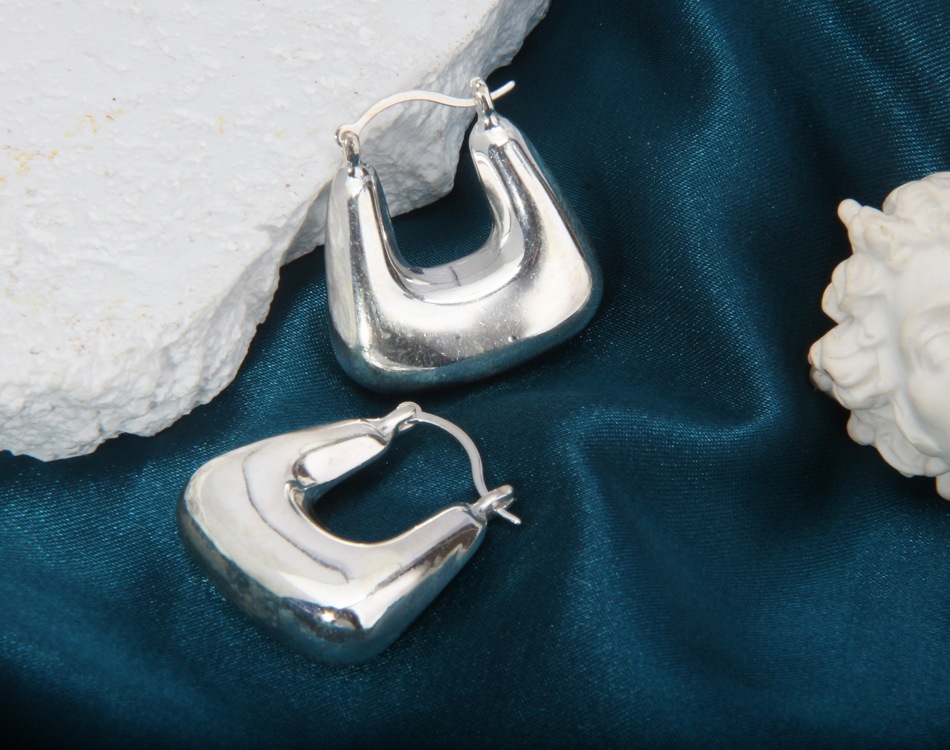 S925 Sterling Silver Earrings